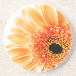 Dessous De Verre En Grès Gerbera Daisy