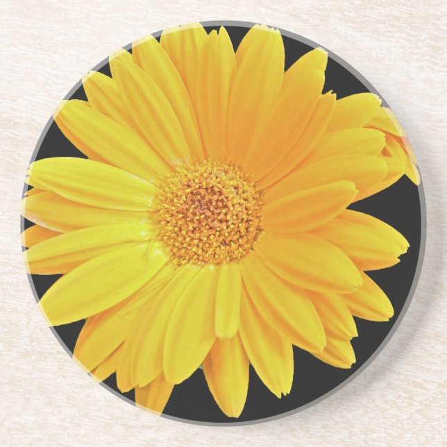 Dessous De Verre En Grès Gerbera Daisy (Gerbera hybrida) - Jaune (Devant)