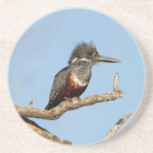 Dessous De Verre En Grès Giant Kingfisher