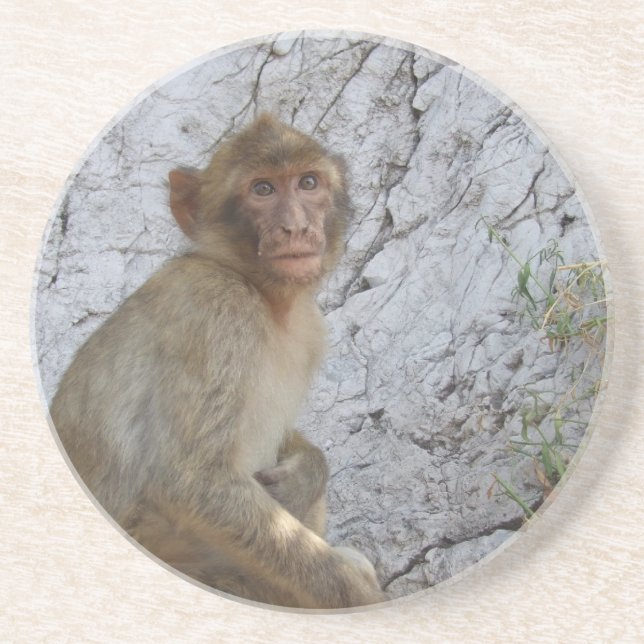 Dessous De Verre En Grès Gibraltar Monkey coaster (Devant)