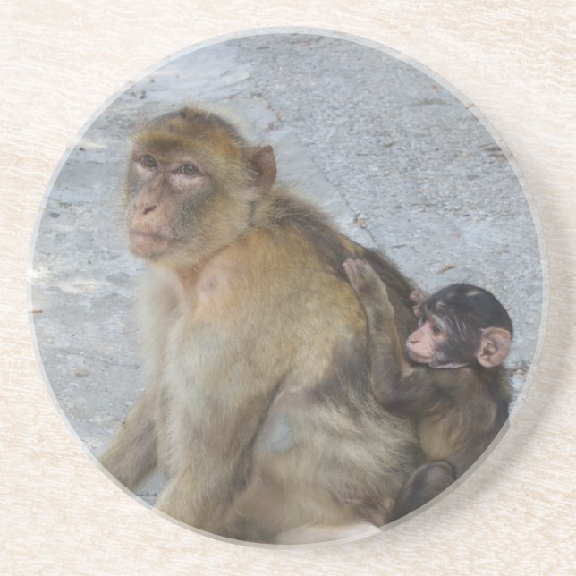 Dessous De Verre En Grès Gibraltar Monkeys coaster (Devant)