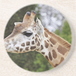 Dessous De Verre En Grès Girafe chique chic de destin de mod de l'Afrique d
