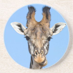 Dessous De Verre En Grès Giraffe