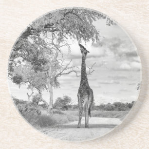 Dessous De Verre En Grès Giraffe sur la route