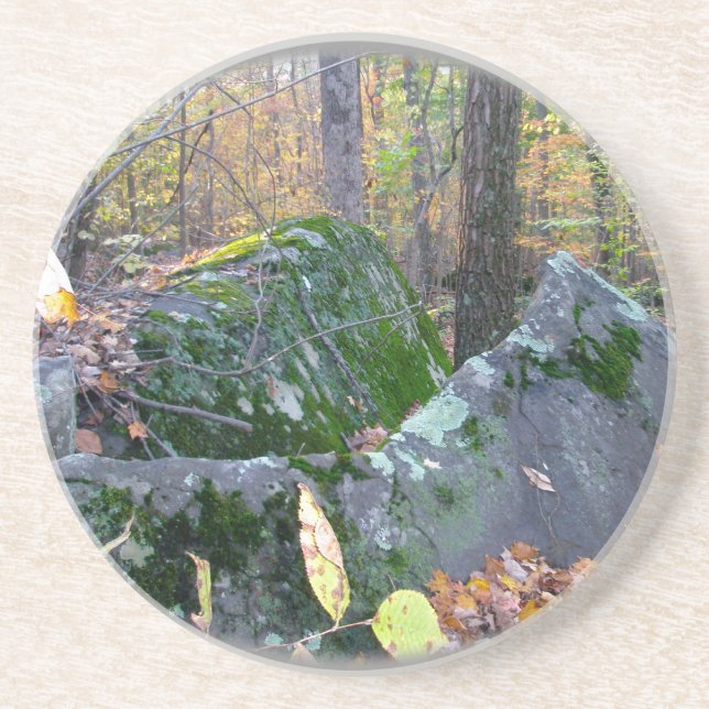 Dessous De Verre En Grès Glacial Boulders Montgomery Comté de Pennsylania (Devant)