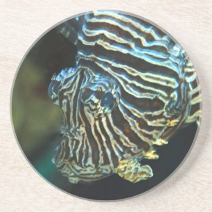 Dessous De Verre En Grès Glissoire de Poisson-lion