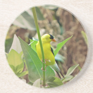 Dessous De Verre En Grès Goldfinch