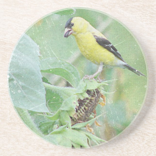 Dessous De Verre En Grès Goldfinch Grunge (Devant)