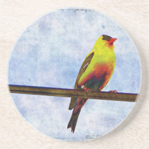 Dessous De Verre En Grès Goldfinch sur ligne électrique