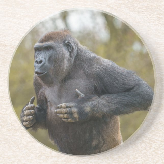 Dessous De Verre En Grès Gorille de la balle dans la poitrine (Devant)