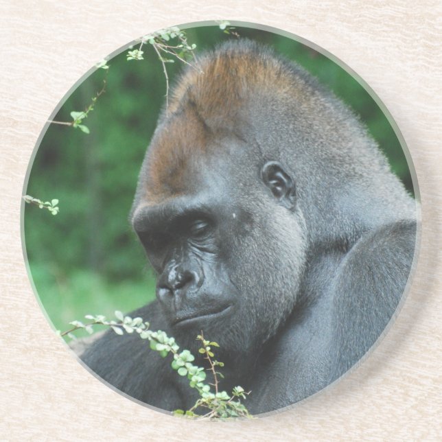 Dessous De Verre En Grès Gorille sinistre (Devant)