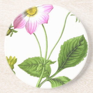 Dessous De Verre En Grès Grâce