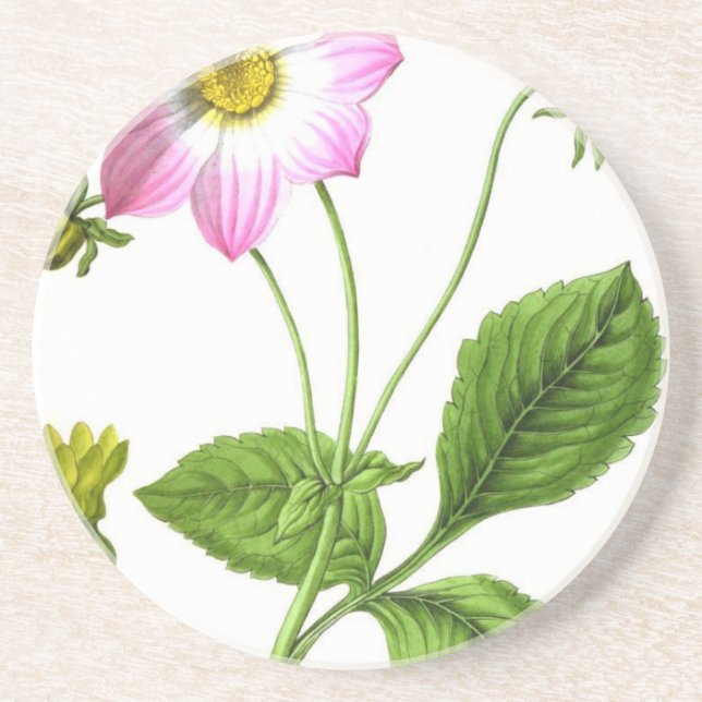 Dessous De Verre En Grès Grâce (Devant)