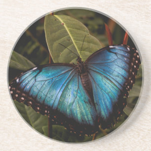 Dessous De Verre En Grès Grand, beau, papillon bleu