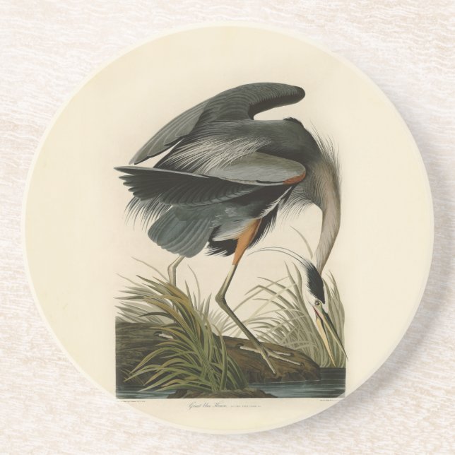 Dessous De Verre En Grès Grand Héron bleu d'Audubon Marais Oiseau (Devant)