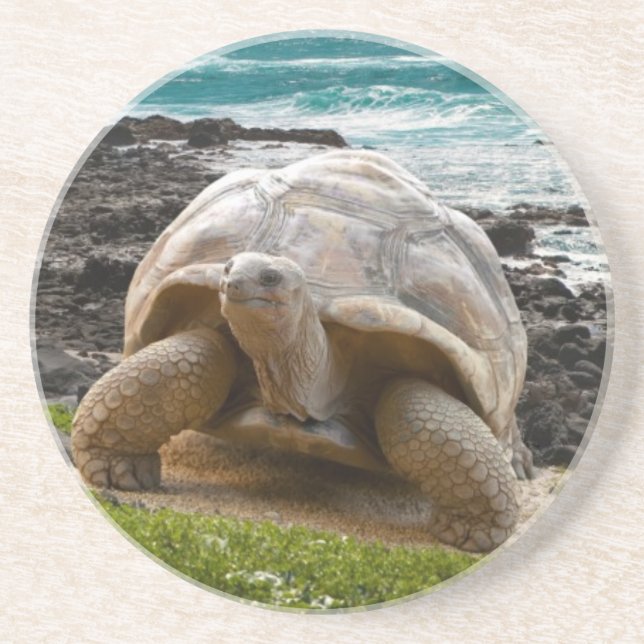 Dessous De Verre En Grès Grande tortue au bord de mer (Devant)