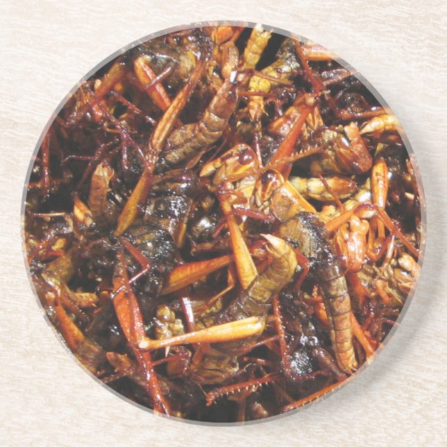 Dessous De Verre En Grès Grasshopper frit (Takkataen Thot) Alimentation asi (Devant)