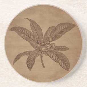 Dessous De Verre En Grès Gravure de loquat floral sur papier vieilli