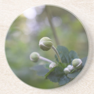 Dessous De Verre En Grès Green Flower Bud Jardin Nature Photographie Floral