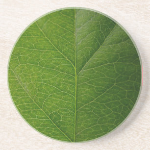 Dessous De Verre En Grès Green leaf