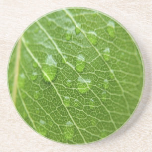 Dessous De Verre En Grès Green leaf