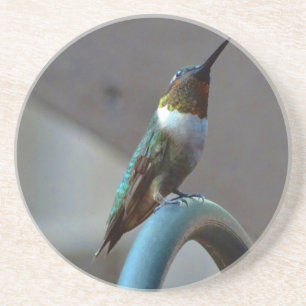 Dessous De Verre En Grès Green ruby little hummingbird
