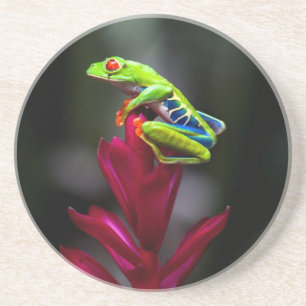 Dessous De Verre En Grès Grenouille aux yeux rouges