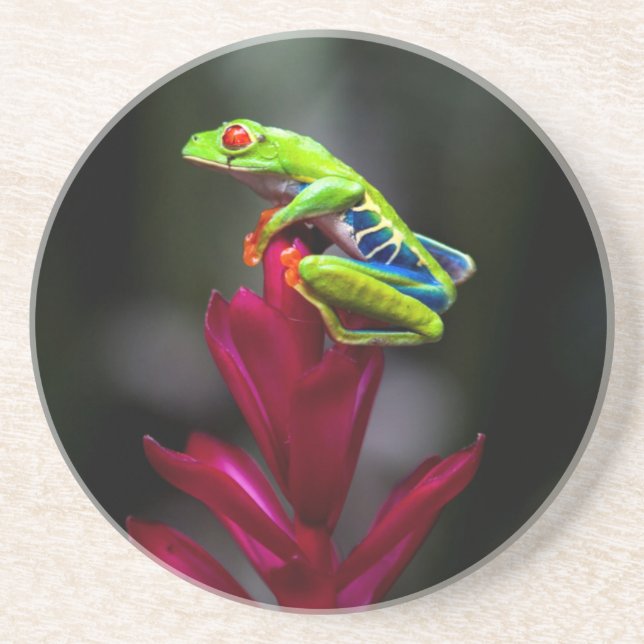 Dessous De Verre En Grès Grenouille aux yeux rouges (Devant)