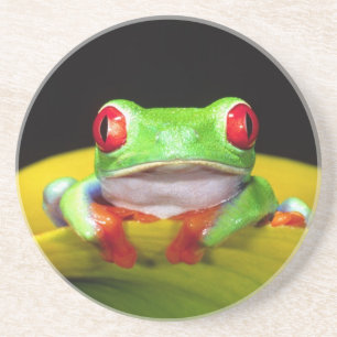 Dessous De Verre En Grès Grenouille aux yeux rouges, Agalychinis callidryas