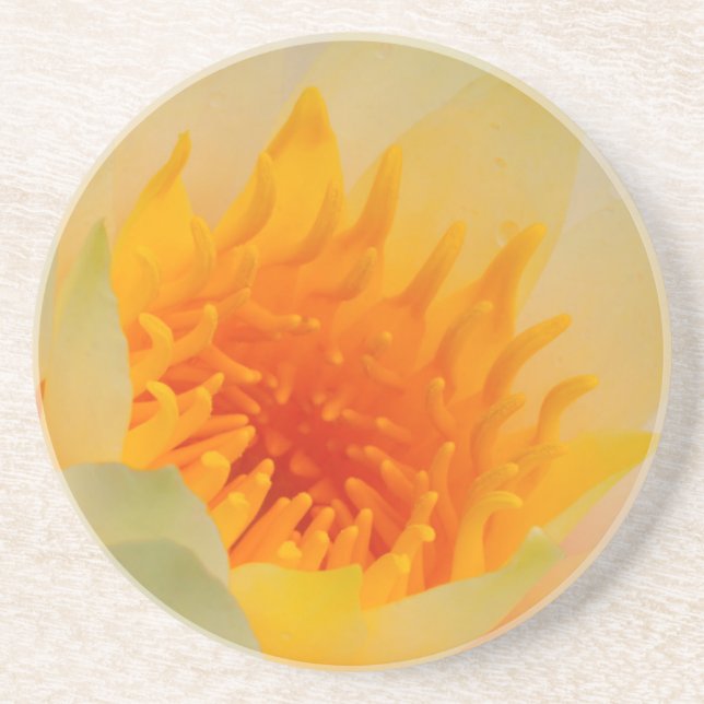 Dessous De Verre En Grès Gros plan d'un nénuphar (Devant)