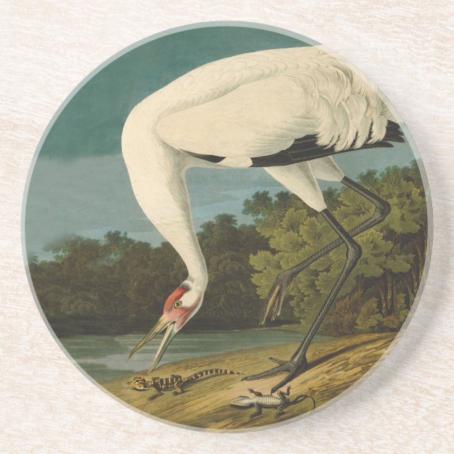 Dessous De Verre En Grès Grue blanche Audubon Peinture d'oiseaux (Devant)