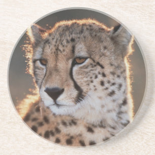Dessous De Verre En Grès Guépard regard détourné