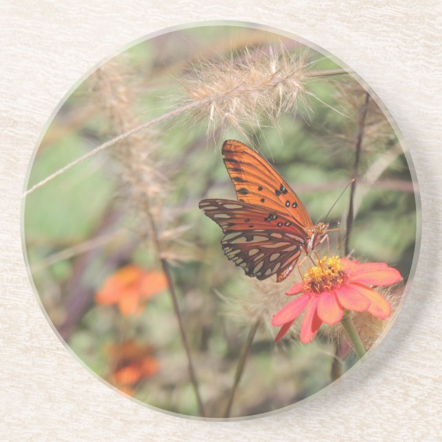 Dessous De Verre En Grès Gulf Fritillary sur Zinnia (Devant)