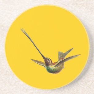 Dessous De Verre En Grès Haeckel Bird