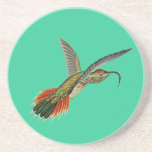 Dessous De Verre En Grès Haeckel Bird