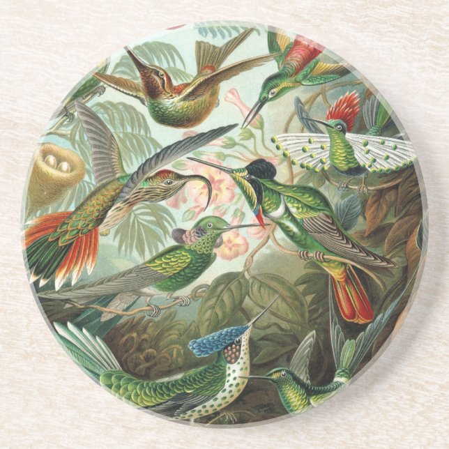 Dessous De Verre En Grès Haeckel Birds (Devant)