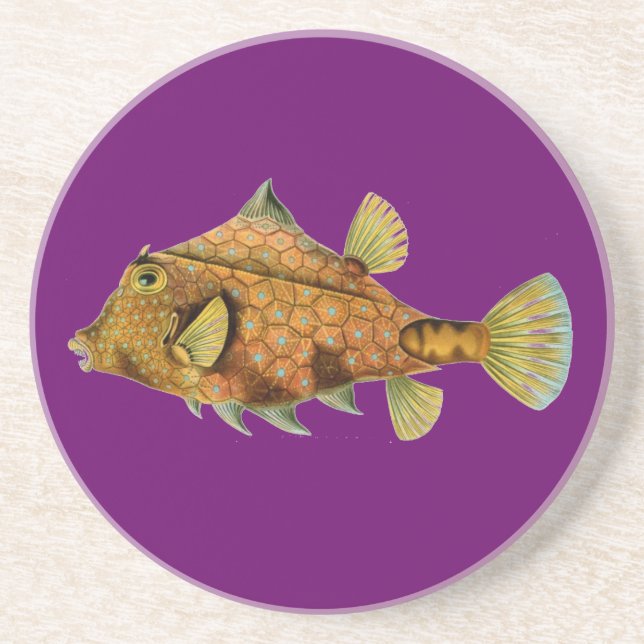 Dessous De Verre En Grès Haeckel Fish (Devant)
