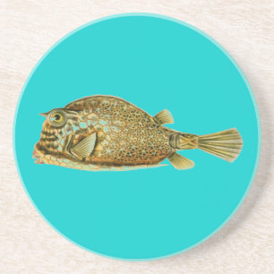 Dessous De Verre En Grès Haeckel Fish