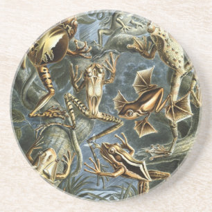 Dessous De Verre En Grès Haeckel Frogs
