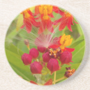 Dessous De Verre En Grès Hakuna Matata beaux bourgeons de fleurs verts roug