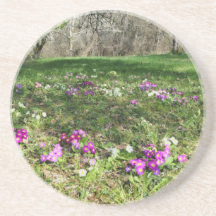 Dessous De Verre En Grès Harbinger du printemps