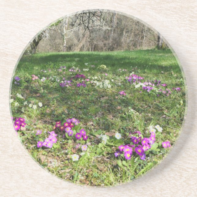 Dessous De Verre En Grès Harbinger du printemps (Devant)