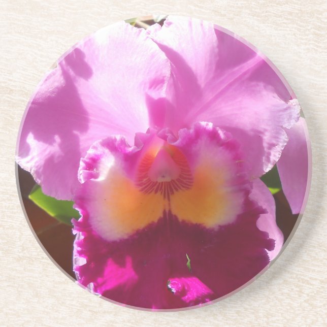 Dessous De Verre En Grès Harlinde (Devant)