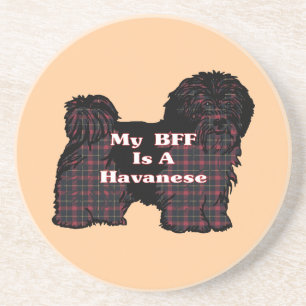 DESSOUS DE VERRE EN GRÈS HAVANESE BFF