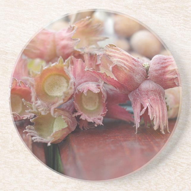 Dessous De Verre En Grès Hazelnuts.JPG (Devant)
