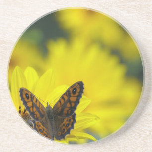 Dessous De Verre En Grès Hélénium de marguerite jaune
