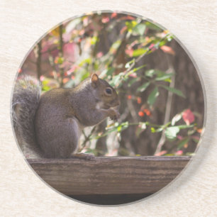Dessous De Verre En Grès Heure des écureuils