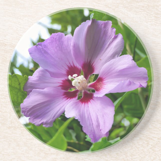 Dessous De Verre En Grès Hibiscus (Devant)