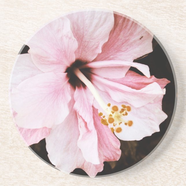 Dessous De Verre En Grès Hibiscus rose (Devant)