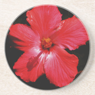 Dessous De Verre En Grès Hibiscus rouge